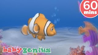 Come Swim with Me Song 🎵🐟 Baby Genius Nursery Rhymes and Kids Songs 🫧🐠