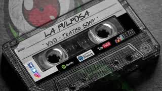 Video thumbnail of "La Pulposa - Pasa que la Noche (Te llevaré una Canción)"