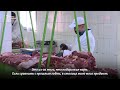 «Почему так дорого?» В Казахстане вновь растут цены на продукты