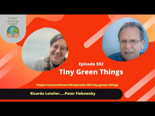 Episode 592 Tiny Green Things