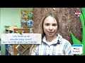 PYP Science: “How the world works”
