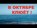 Как ловить рыбу в Турции. Средиземное море, ловлю с берега.