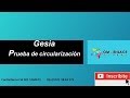 Gesia procedimiento de circularización - Gestión Integral de Auditoria - Aplicativo de Auditoria