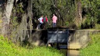 Minimum Flows and Levels: Finding a balance for Florida’s waters