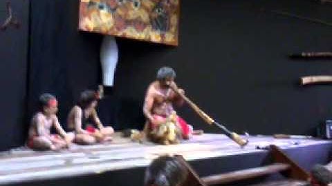 didgereedo kangaroo sounds demonstration 3