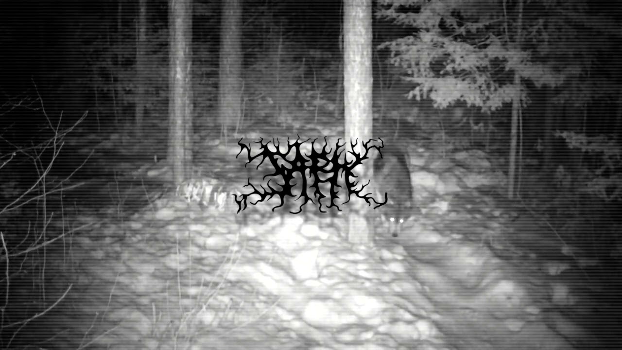 "Pack" | Metalcore/Thall Type Beat X THALL X MESHUGGAH X VILDHJARTA X HEAVY | Prod. Japh