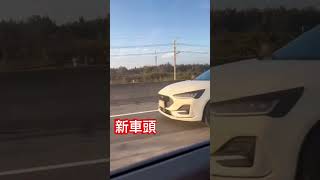 Focus 4.5代ST-Line Lommel偽裝車捕獲！?#shorts