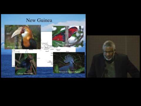 Evolution and Conservation of Island Birds - Lessons from Genomics on YouTube