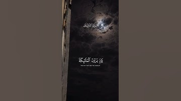 سورة الفرقان | عبد الرحمن مسعد 🥰❤ #القرآن_الكريم #اكسبلور #عبدالرحمن_مسعد #القرآن #fyp #fypシ゚viral