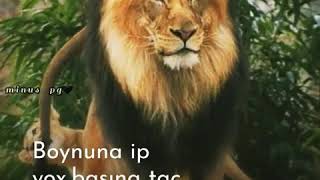 Whatsapp Ucun Status Super Video