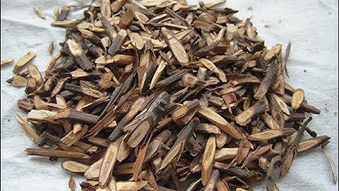 Máy rửa dược liệu tự động