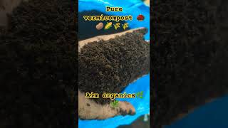 Pure vermicompost in Punjab #india #agriculture #organic #organicfarming #vermicompost #farming