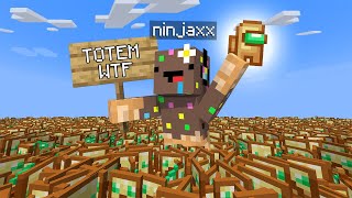 J'ai ajouté 1.000.000 de TOTEM WTF sur mon Minecraft..