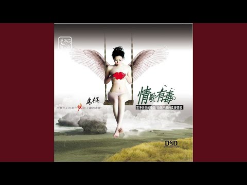 你是我心内的一首歌