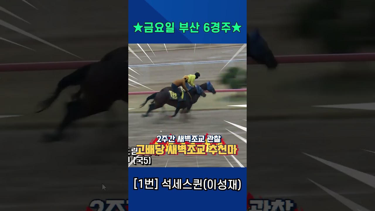 4월3일 금요일 부산 6경주!! 게이트 이점과 훈련으로 상승세 이어갈 강백호의 새벽조교 쏘스마!!