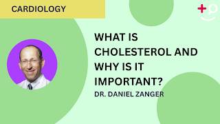 What Is Cholesterol and Why Is It Important?