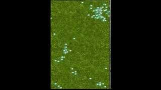 Sheep Simulation App v0.1 Running on Emulator screenshot 1