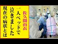 佐久間由衣、今現在が衝撃的すぎる！