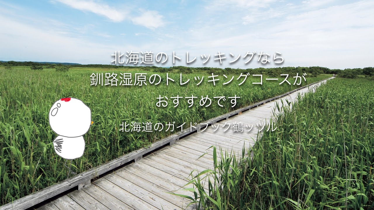 リンク集 丹頂鶴と釧路湿原の北海道観光おすすめガイドブック 鶴居村の鶴ッツル