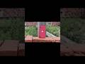 iPhone 11 camera testi #camera #iphone #nature #youtubeshorts #cinematic