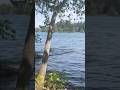 #family #nature #naturelovers #food #fishing walking #park #fyp #ytshorts #shorts #morning #minivlog