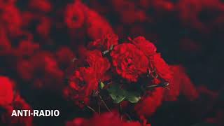 Shwayze - Love Is Overrated