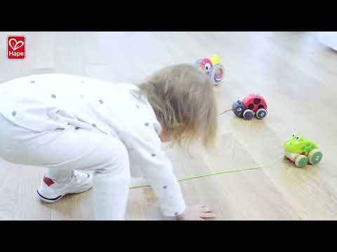 hape tito pull along