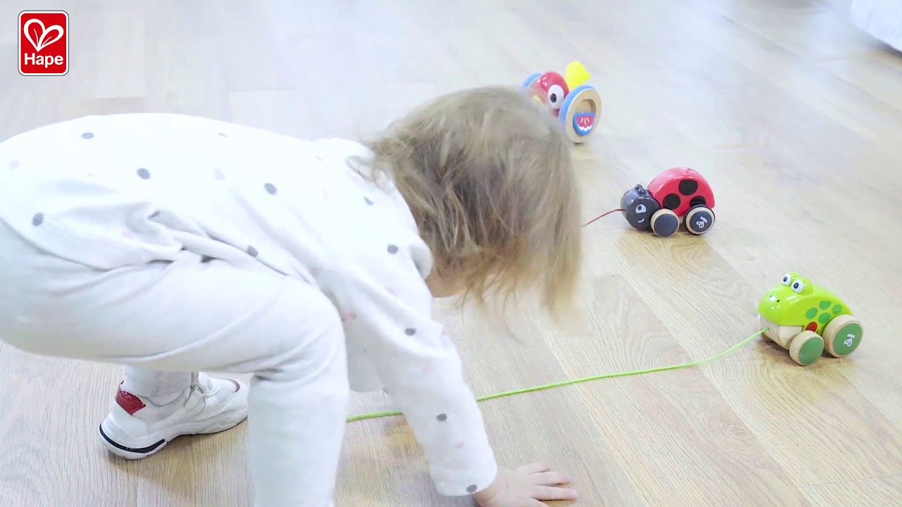 hape pull along puppy