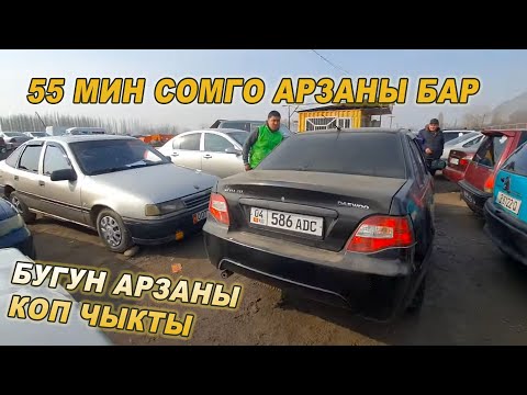 Video: Авариялык жол жээгинде токтоону кантип кыласыз?