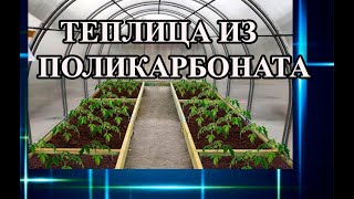 Купили теплицу 3 на 6 м. Что внутри? Что посадили. Что с этим делать??? Как довести теплицу до ума?