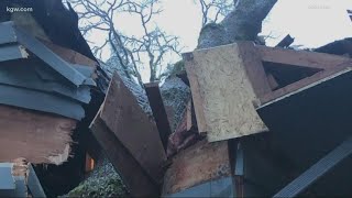 Trees fall on Salem homes after ice storm