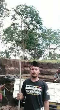 Status wa lucu jangan lupa sholat jumat gang pitu gang wolu gang songo iku buntu