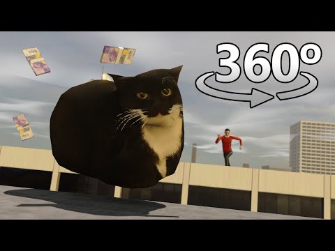 Parkour With Maxwell The Cat In 360° Vr4K