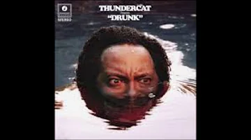 Thundercat-Them Changes (slowed and reverbed)