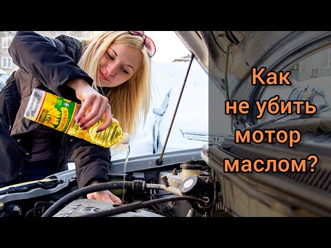 Как не убить мотор маслом!