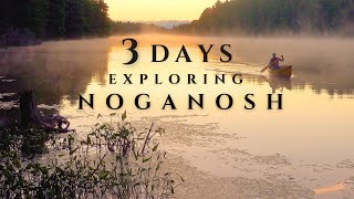 3 Day Solo Backcountry Camping | Noganosh