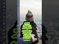 الكتاب المقدس اية اليوم
