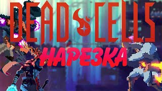 Ленивая нарезка Dead Cells