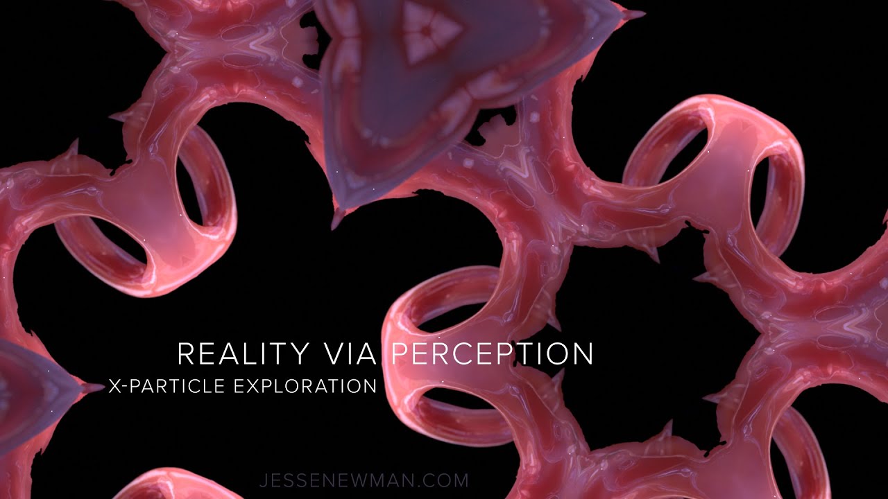 REALITY via PERCEPTION (X-particles study)