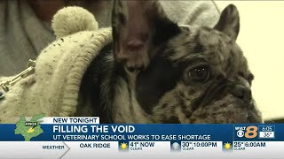 UT Working to help ease a Veterinarian Shortage