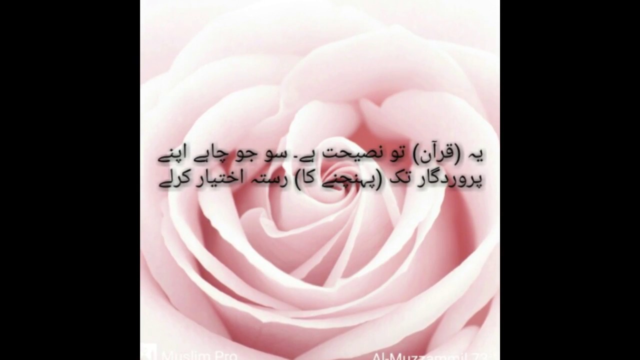 17 August 2017 at 06 09 2017 08 17 06 14 04