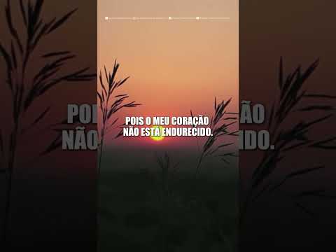 🎶 Tudo o que precisamos