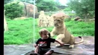 Дети в зоопарке Смешные моменты! 2015 Children at the zoo Funny moments 2015 (часть1) Дети в зоопарке Смешные моменты! 2015 Children at the zoo Funny moments 2015 (часть1)