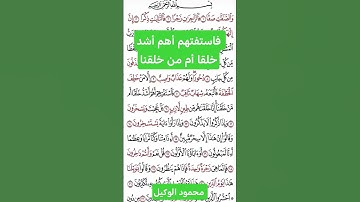 فاستفتهم #قران #قرآن #سورة_الصافات #تلاوات_خاشعة #اكسبلور #المنشاوي #الوكيل #خشوع #راحة_نفسية #fypシ