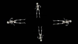 Dancing Skeleton, HoloQuad 3D Holographic Mobile Cell Phone Hologram Videos MMD