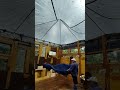Rainy Day Relaxation: Swapped Digging for Installing a Hammock in the Shack and Enjoying the View