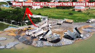 Part 239| Many Dump Trucks Transport rocks Making Road In Water of  lake with Equipment Wheel Loader