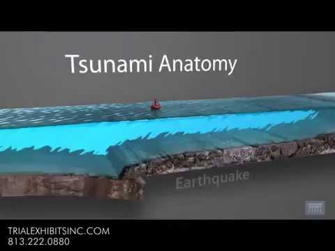3D Animation: Formation d'un Tsunami - YouTube