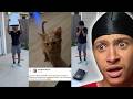 Woman Forced Her Son To Slam His PS5 The Same Way He Slammed Her Cat...😳
