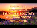 ВЫ ГОТОВЫ ВОССТАТЬ ИЗ ПЕПЛА СВОЕГО ПРОШЛОГО? Послание от плеядианцев .